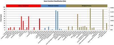 Harnessing de novo transcriptome sequencing to identify and characterize genes regulating carbohydrate biosynthesis pathways in Salvia guaranitica L.